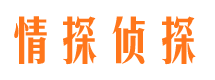 禄劝市婚外情调查